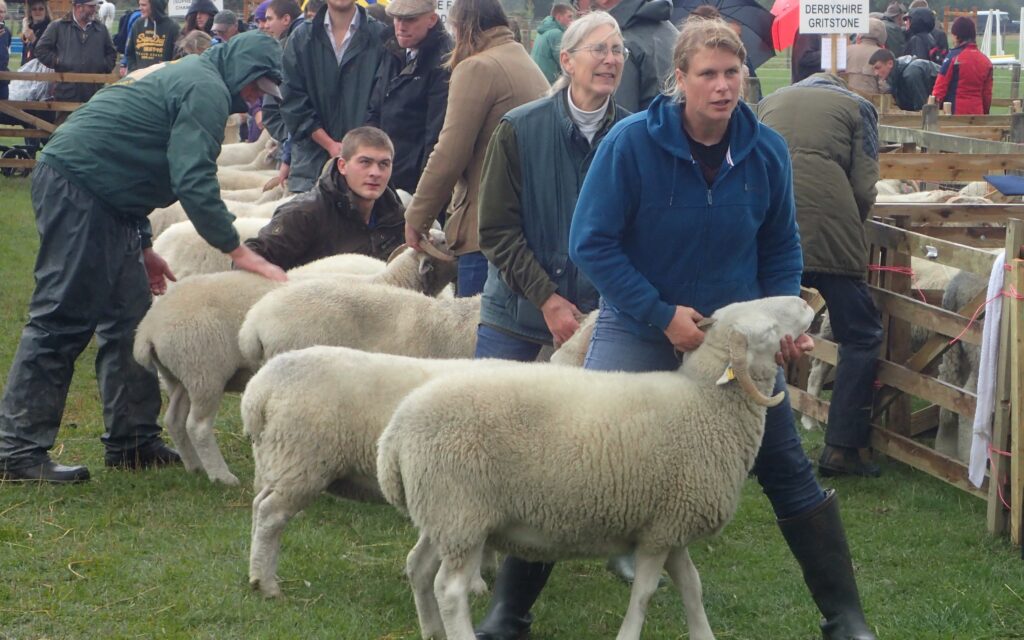 Rachel Showing Ewe At Hope Show 2019 © Jack Quense