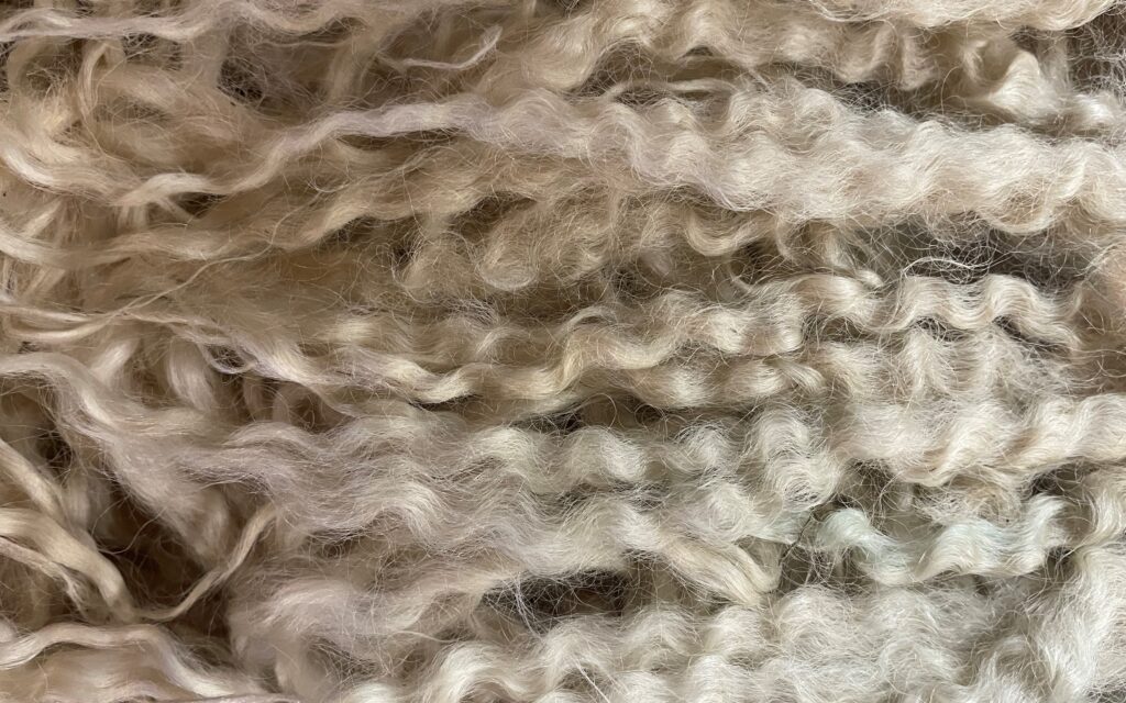 Wool